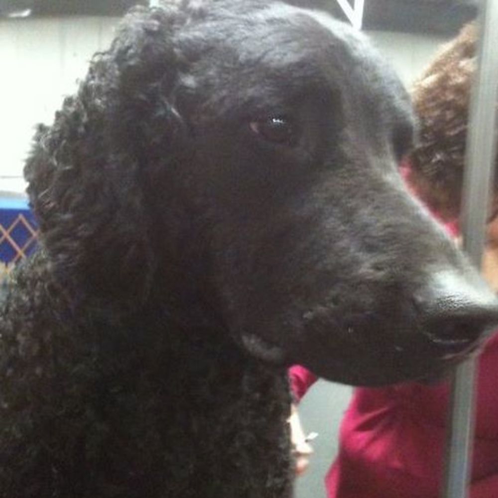 Meet your Posher, Lori